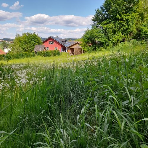 Ansicht von der wilden Seite